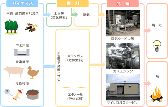 バイオマス発電のご紹介